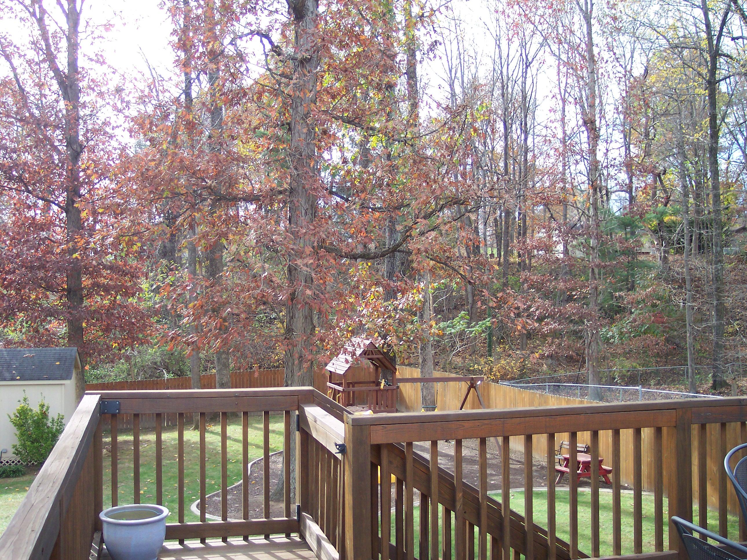 289 Scalybark Drive Blue Ridge, VA 24064 - Photo 56 of 73 a view of a wooden fence