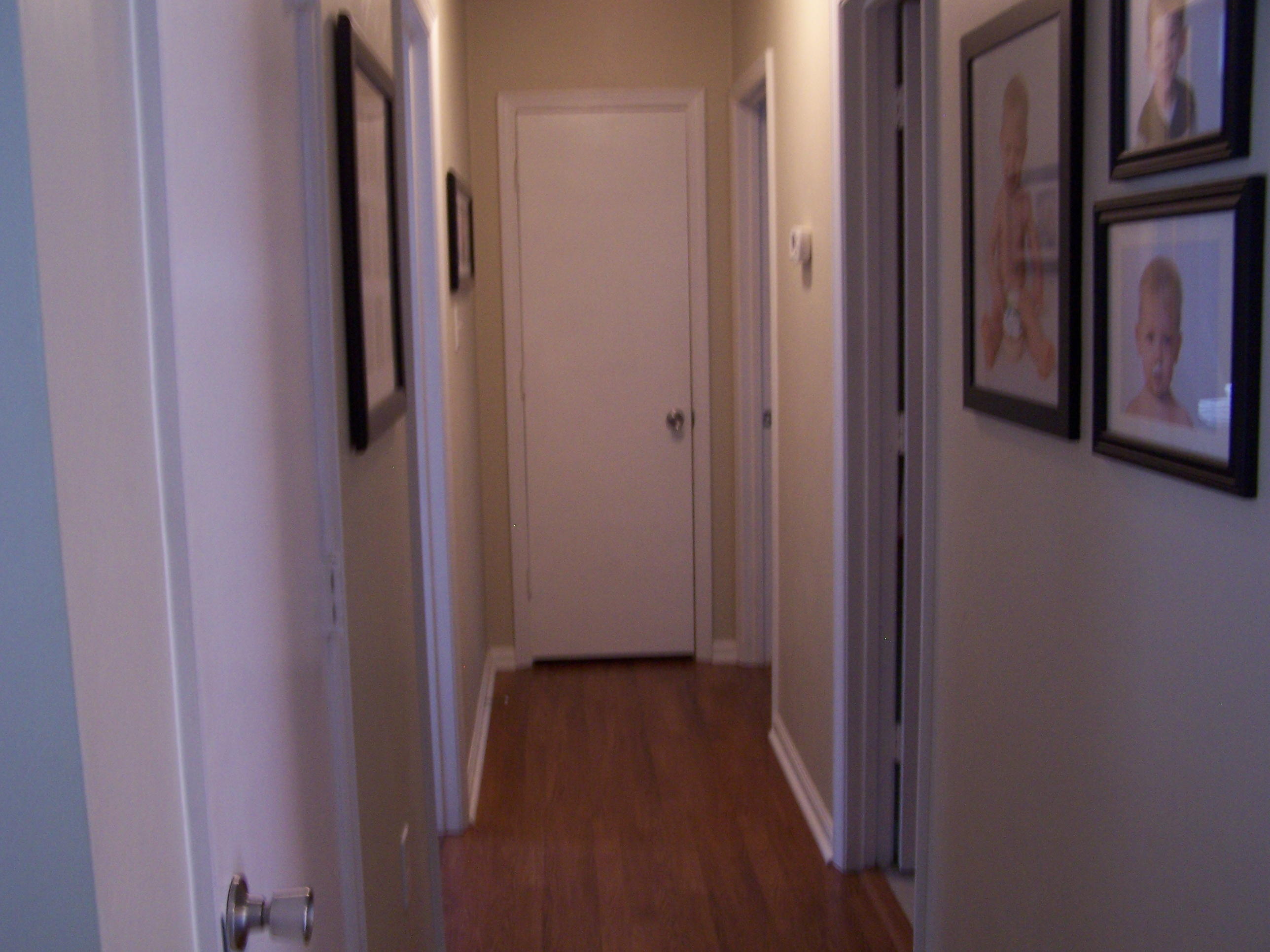 289 Scalybark Drive Blue Ridge, VA 24064 - Photo 7 of 73 a view of a hallway with wooden floor