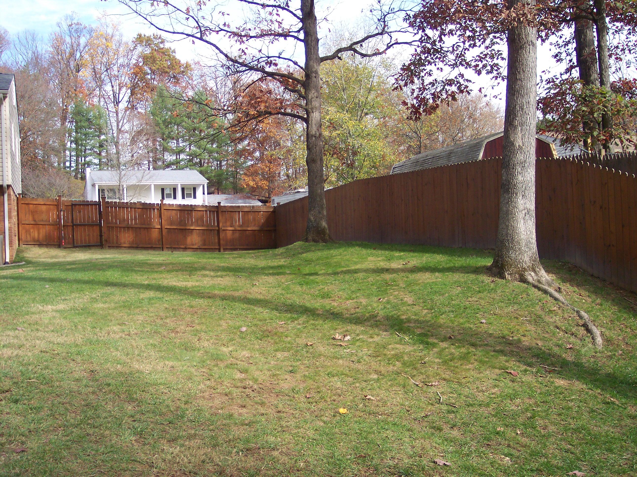 289 Scalybark Drive Blue Ridge, VA 24064 - Photo 61 of 73 a view of a field of grass and trees