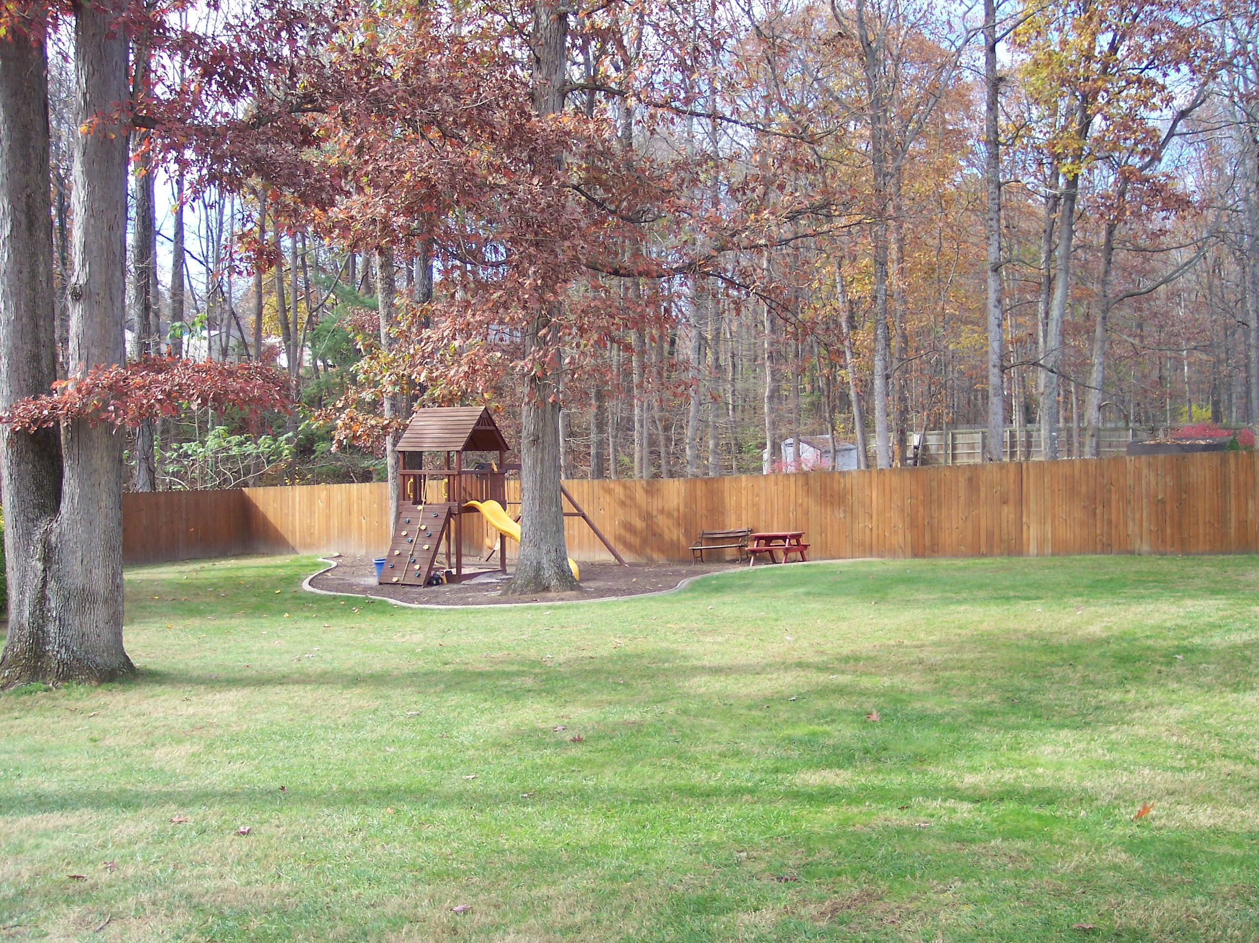 289 Scalybark Drive Blue Ridge, VA 24064 - Photo 70 of 73 Yard view 3