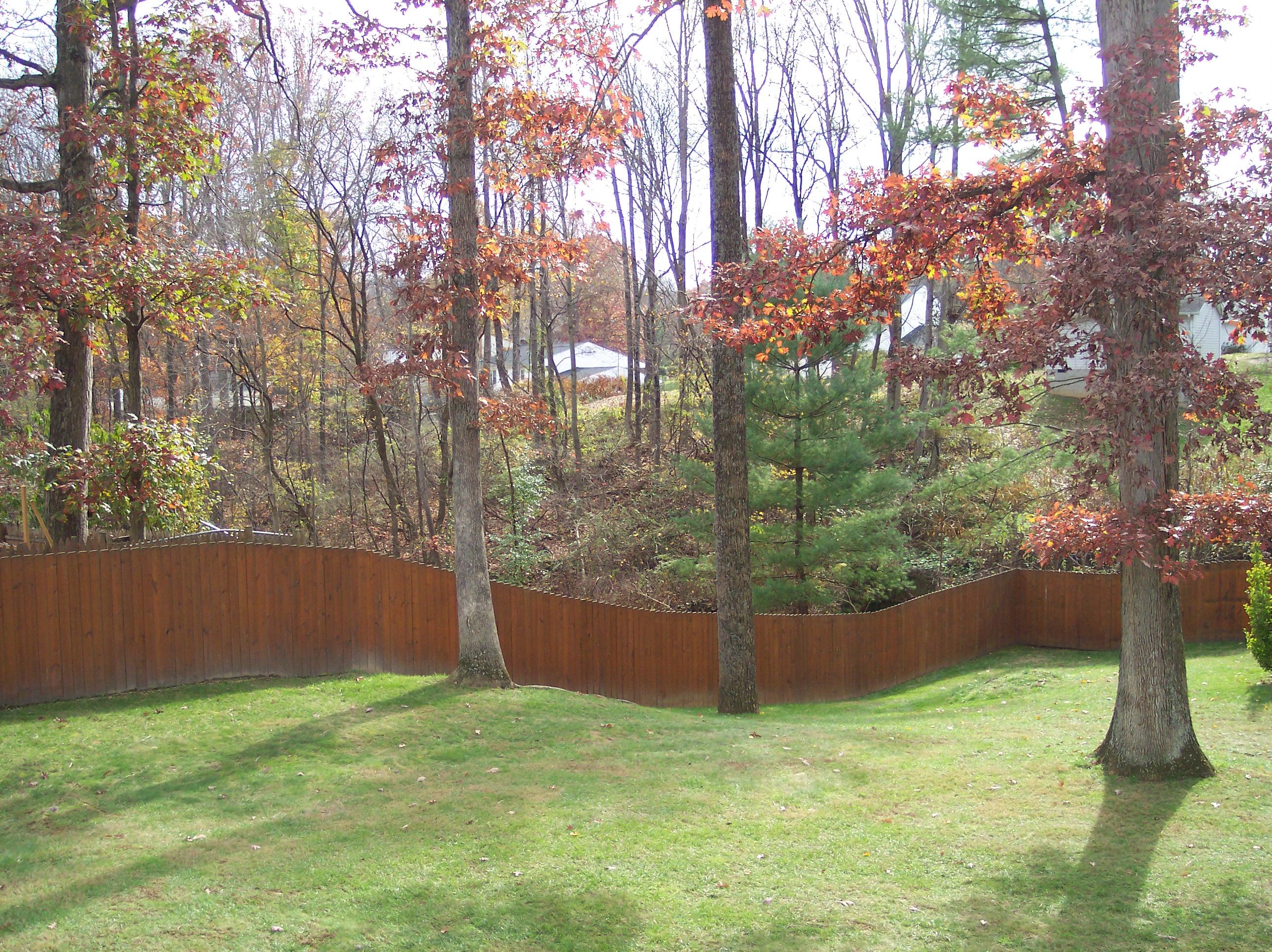 289 Scalybark Drive Blue Ridge, VA 24064 - Photo 71 of 73 a backyard of a house with lots of green space