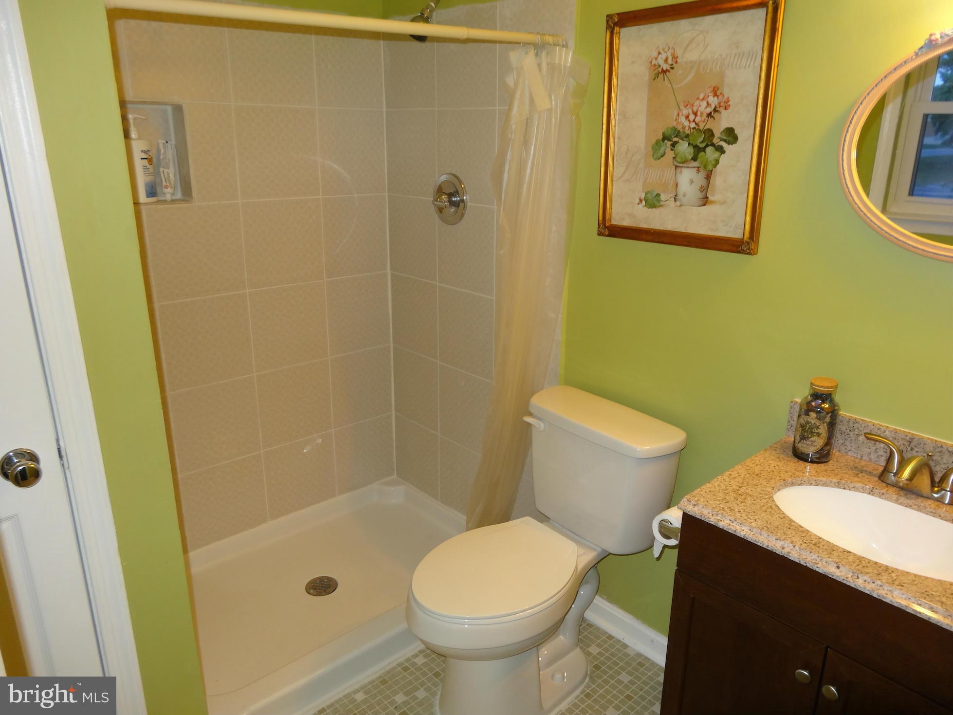 7206 Allentown Road Fort Washington, MD 20744 - Photo 12 of 21 Bath (Master)