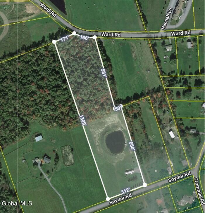465 Snyder Road Cobleskill, NY 12043 - Photo 7 of 19 Aerial View