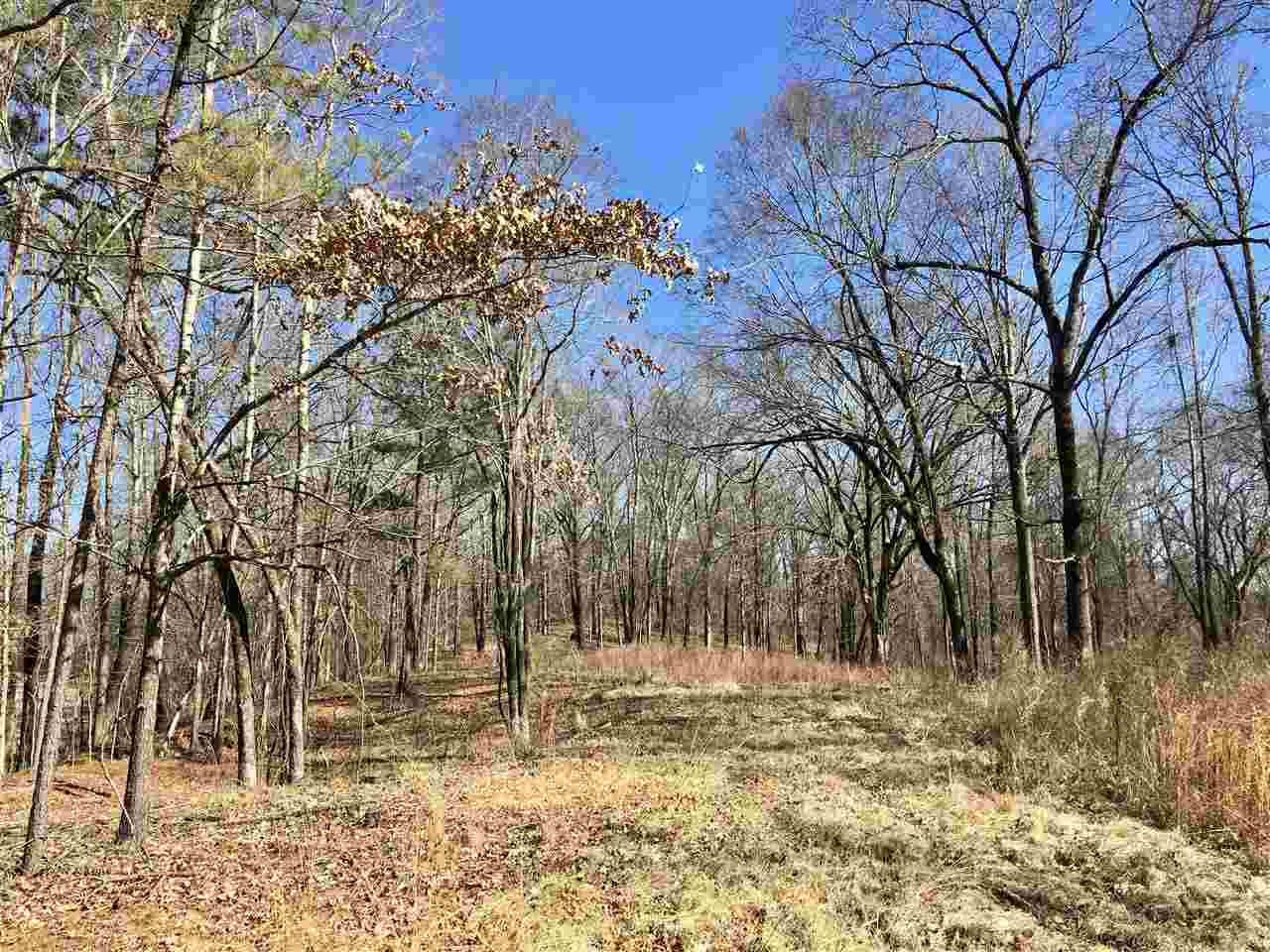 0 Chestnut Hill Road, Unit 56 Flora, MS 39071 - Photo 12 of 18 Photo 12
