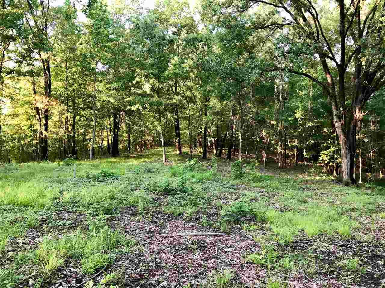 0 Chestnut Hill Road, Unit 56 Flora, MS 39071 - Photo 5 of 18 Photo 5
