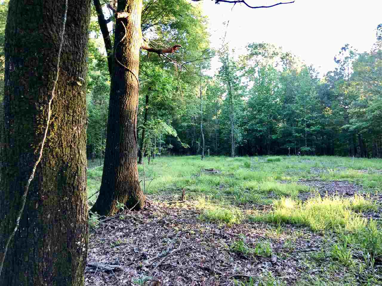 0 Chestnut Hill Road, Unit 56 Flora, MS 39071 - Photo 6 of 18 Photo 6