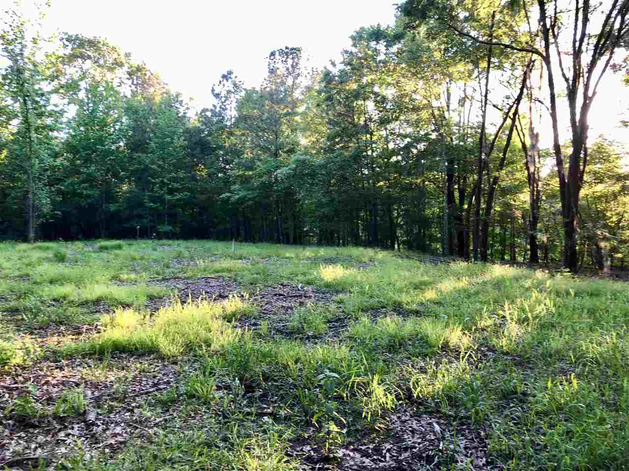 0 Chestnut Hill Road, Unit 56 Flora, MS 39071 - Photo 9 of 18 Photo 9