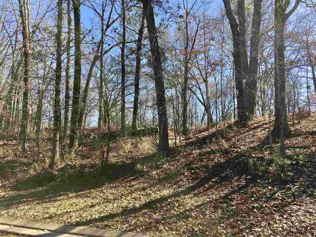 0 Chestnut Hill Road, Unit 56 Flora, MS 39071 - Photo 10 of 18 Photo 10