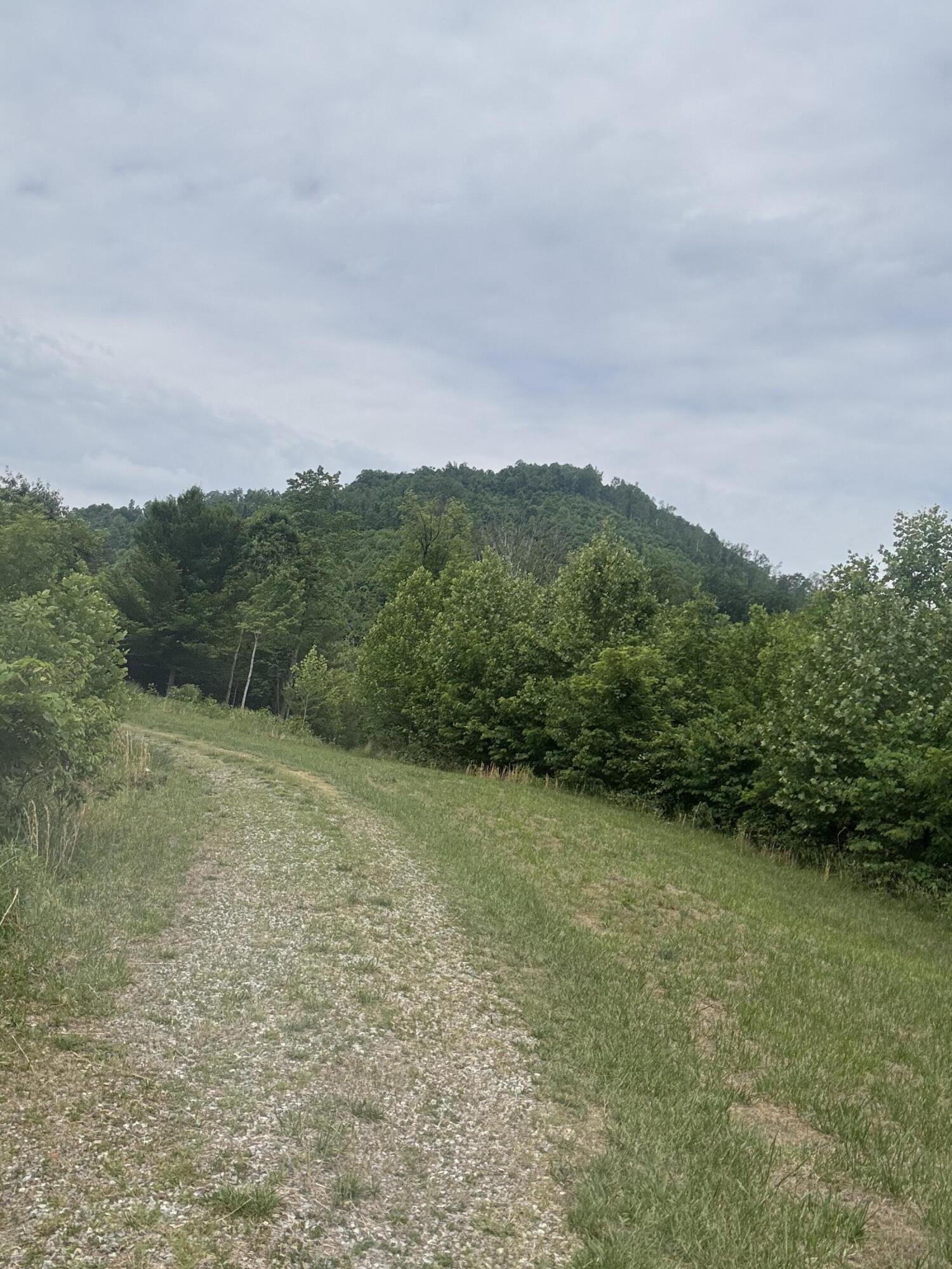 1107 Endicott Hill Road Ferrum, VA 24088 - Photo 3 of 4 IMG_1847