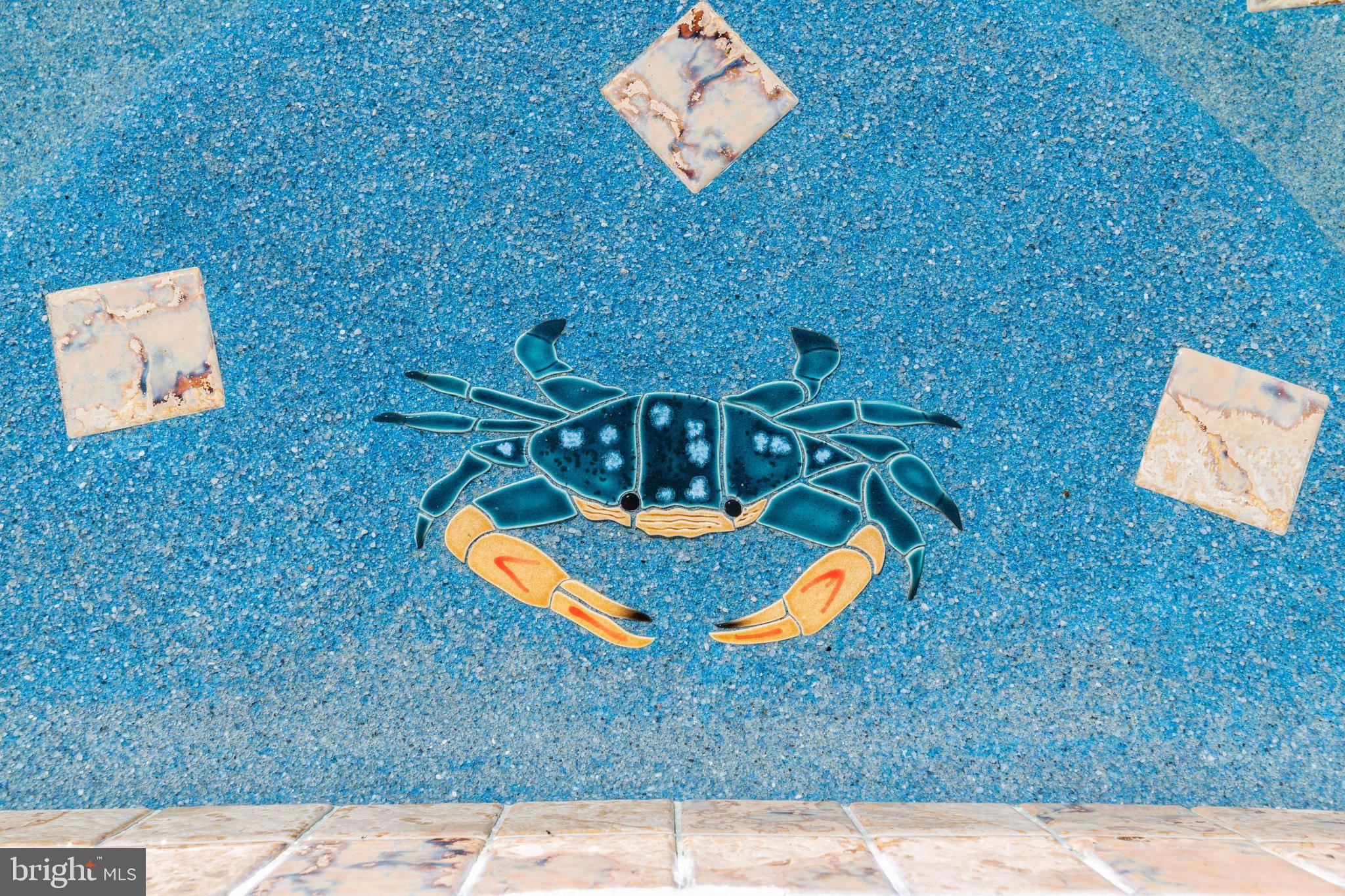 503 Hollen Road Baltimore, MD 21212 - Photo 42 of 42 Pool Design