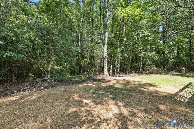 a view of a yard with trees
