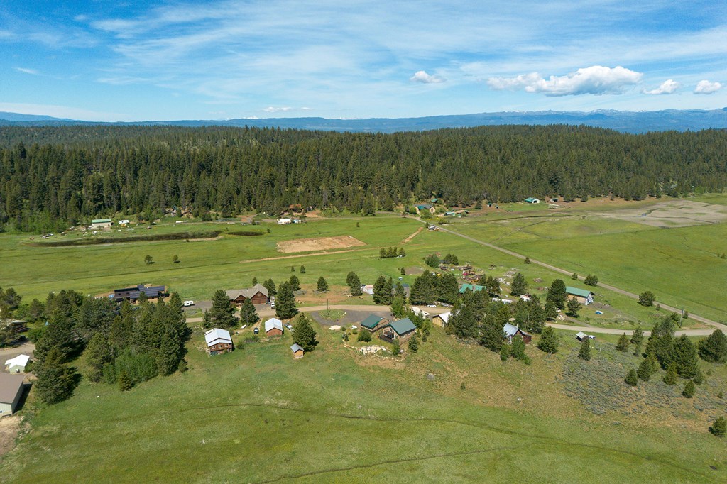 3390 Ridge Drive McCall, ID 83638 - Photo 44 of 48