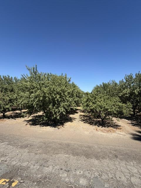 4032 West Inyo Avenue Tulare, CA 93274 - Photo 1 of 3 IMG_0188