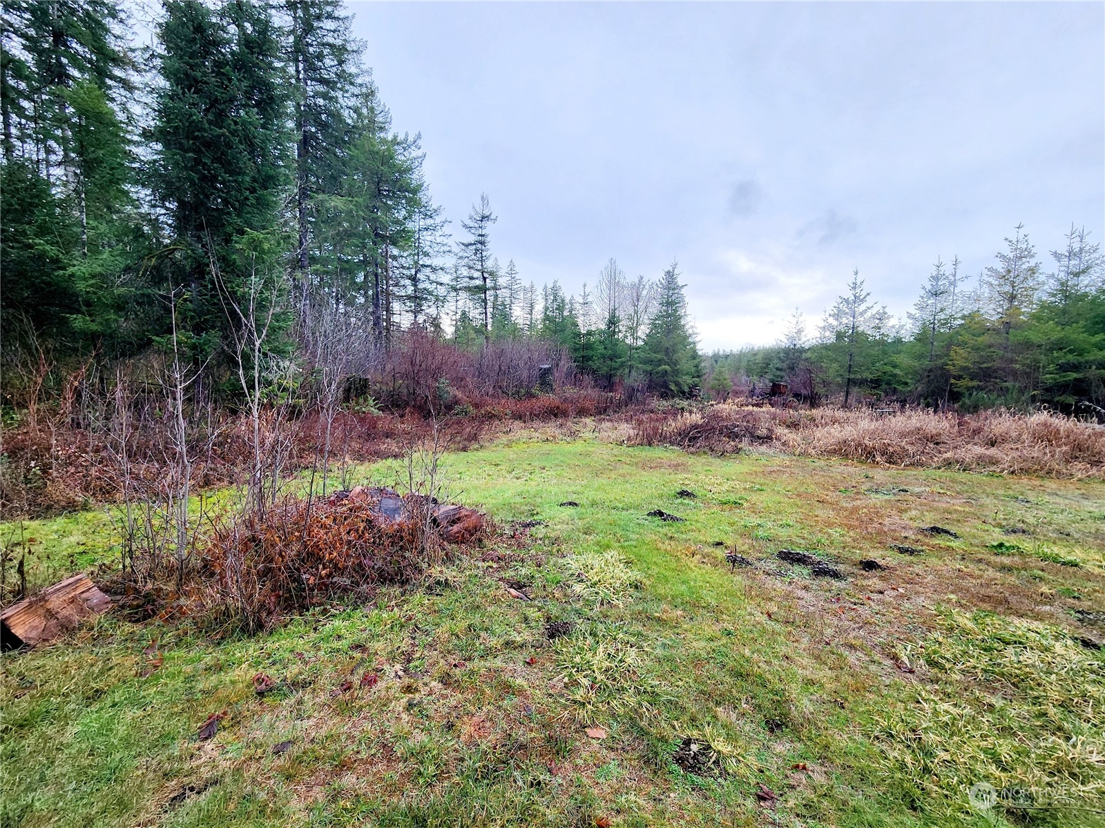 15 Foreman Road McCleary, WA 98557 - Photo 25 of 31 a view of outdoor space and yard
