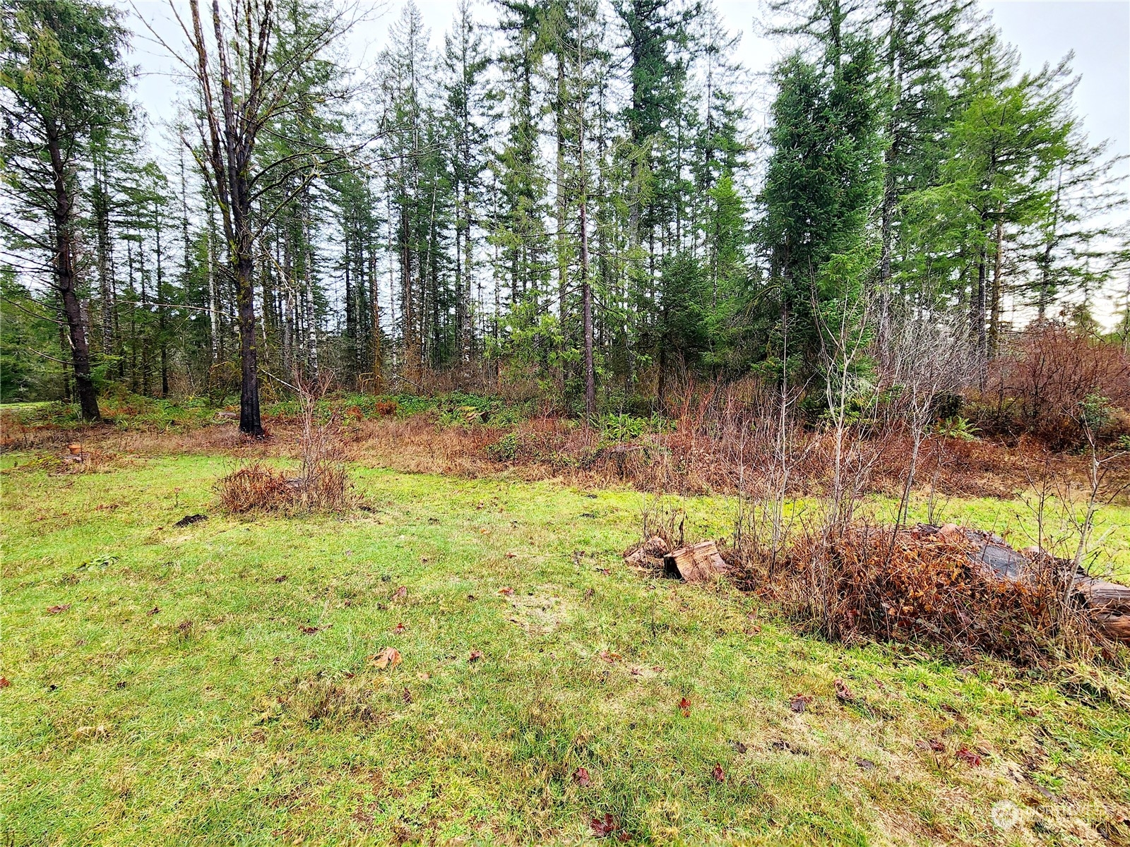 15 Foreman Road McCleary, WA 98557 - Photo 26 of 31 a backyard of a house with lots of green space