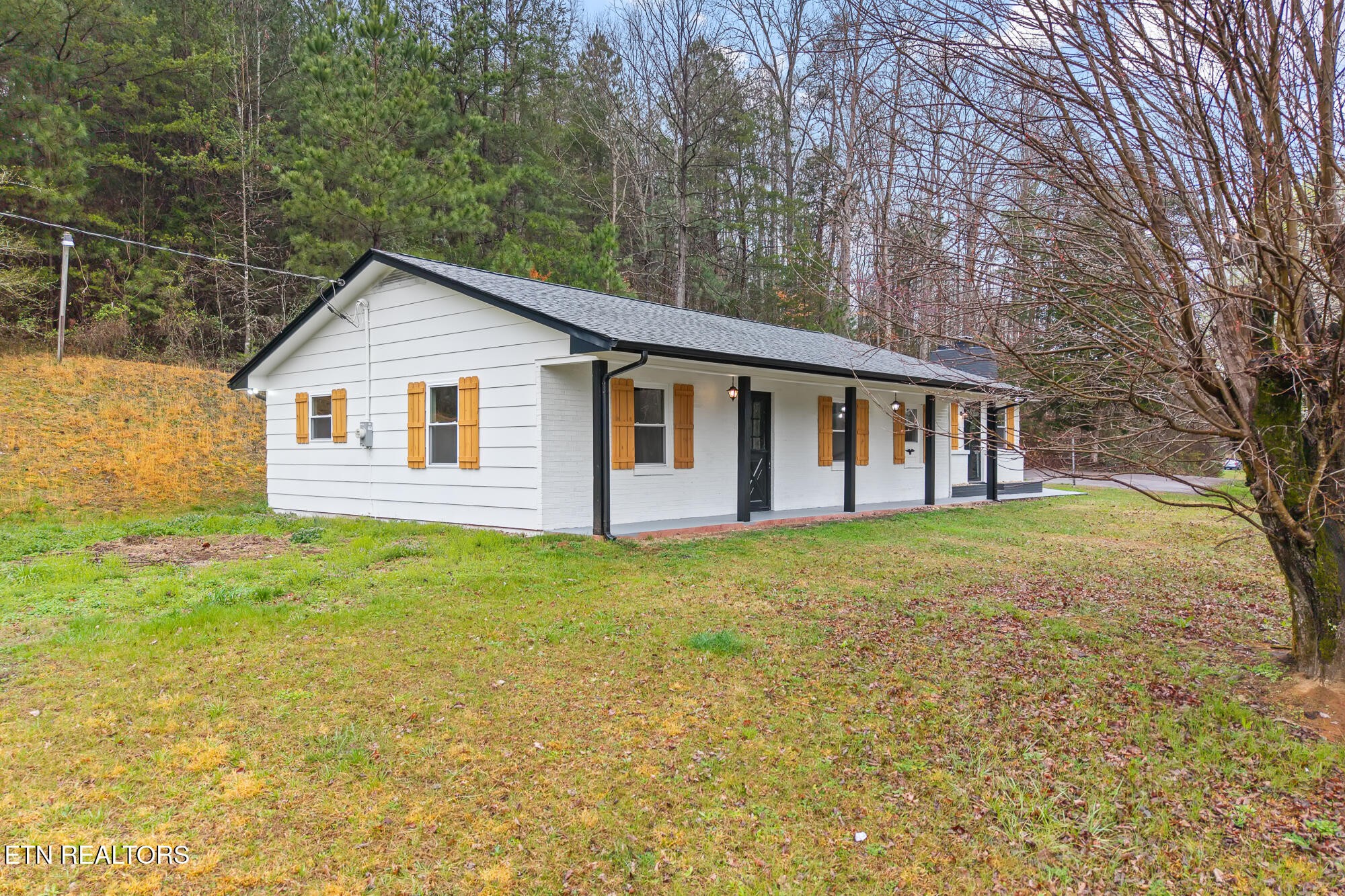 144 Cagle Road Tellico Plains, TN 37385 - Photo 3 of 34