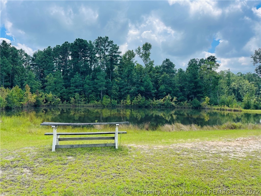 4684 East Raynham Road Fairmont, NC 28340 - Photo 23 of 26 a backyard of a house with lots of green space lake and mountain view