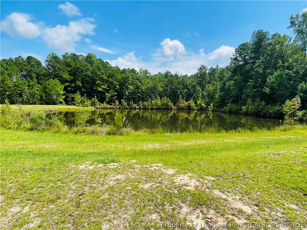 4684 East Raynham Road Fairmont, NC 28340 - Photo 24 of 26 a view of a city