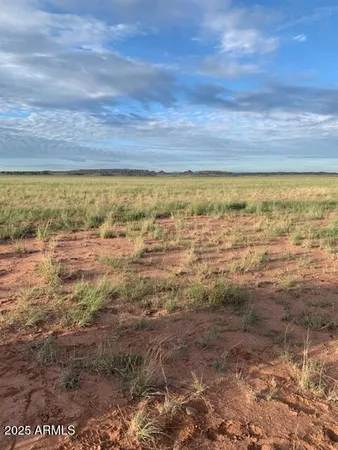 $25,000 | 45 Acres, Unit 28, St. Johns, AZ 85936