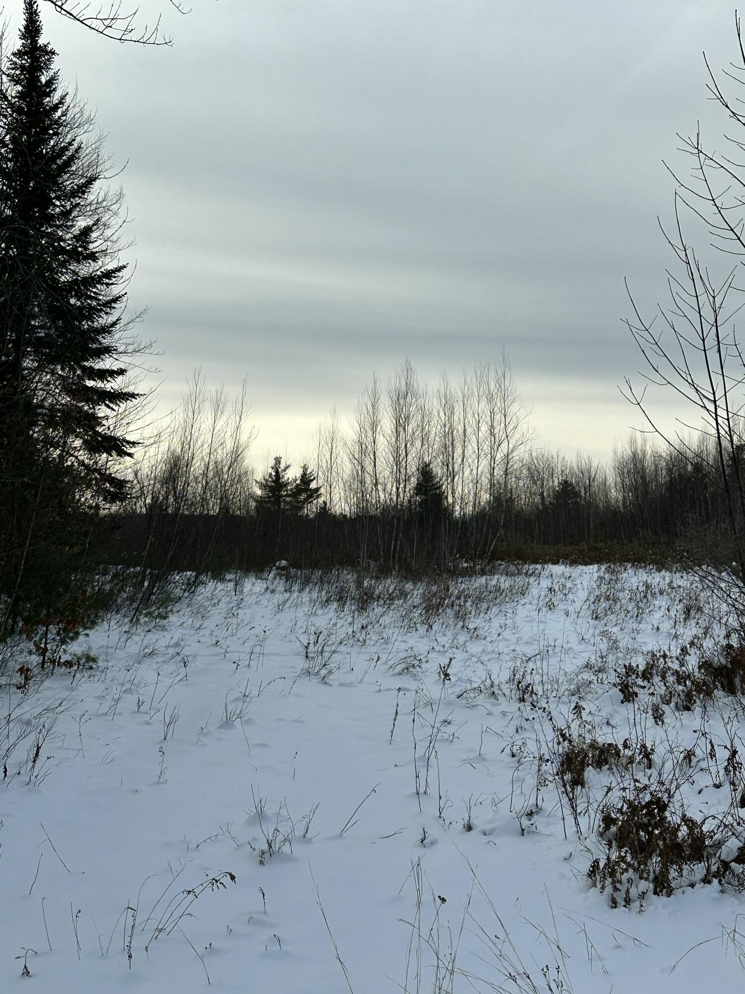 239 Bolsters Mills Road Harrison, ME 04040 - Photo 7 of 11 Near South Boundary