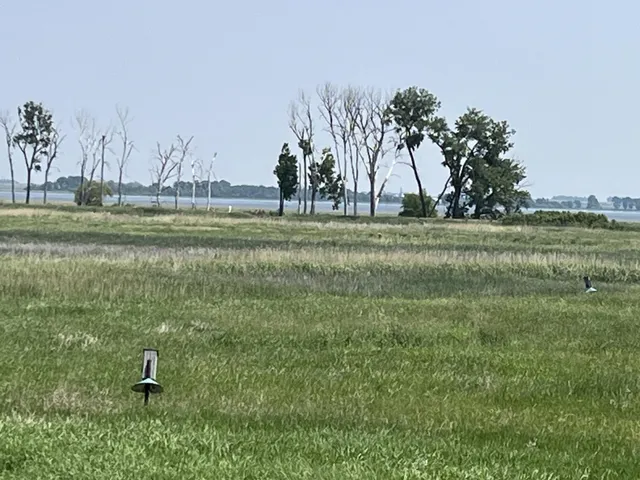 $287,500 | 88700 388th Avenue, Heron Lake, MN 56137