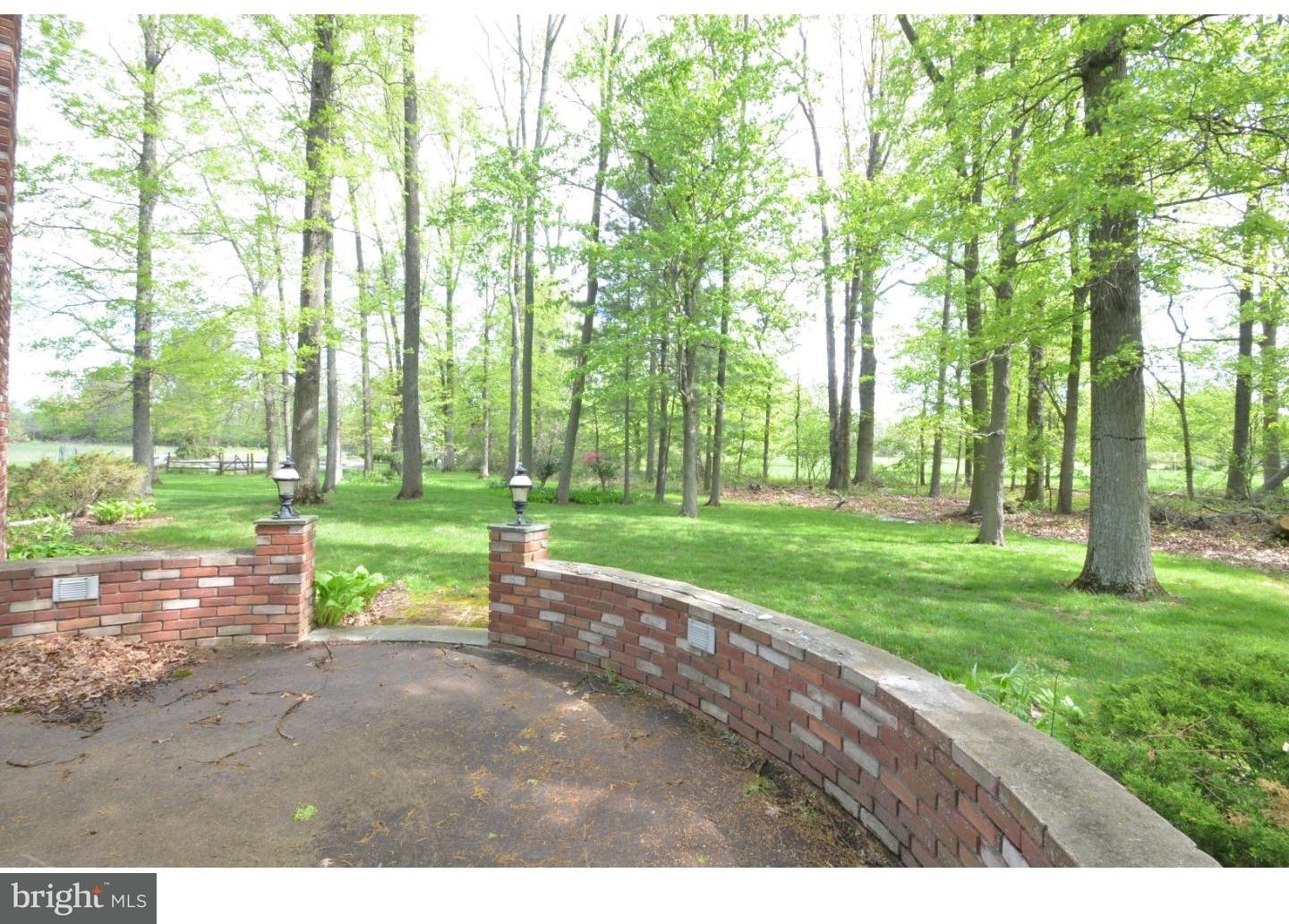 5711 Stump Road Pipersville, PA 18947 - Photo 8 of 25 Patio