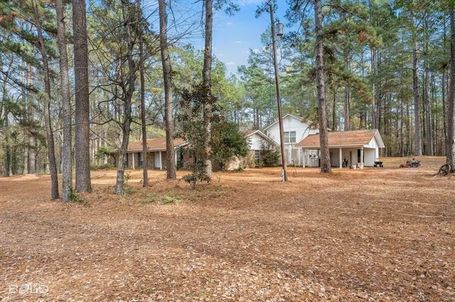 a view of park with tree