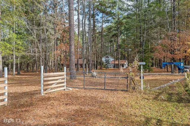 a white house that has a tree in front of it