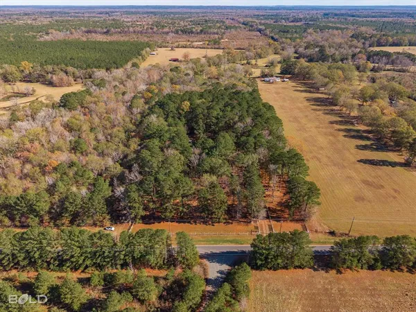 an aerial view of residential houses with outdoor space and trees