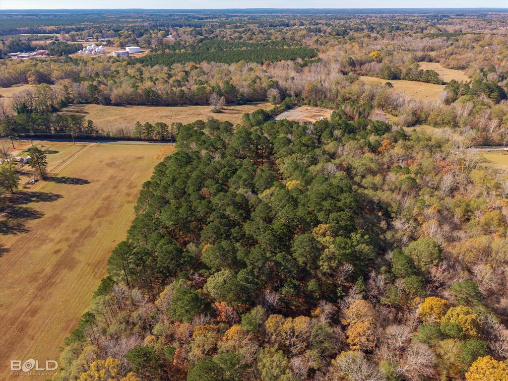 447 Burrow Lane Cotton Valley, LA 71018 - Photo 34 of 39 an aerial view of residential houses with outdoor space