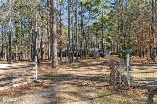a view of a yard in the middle of a yard