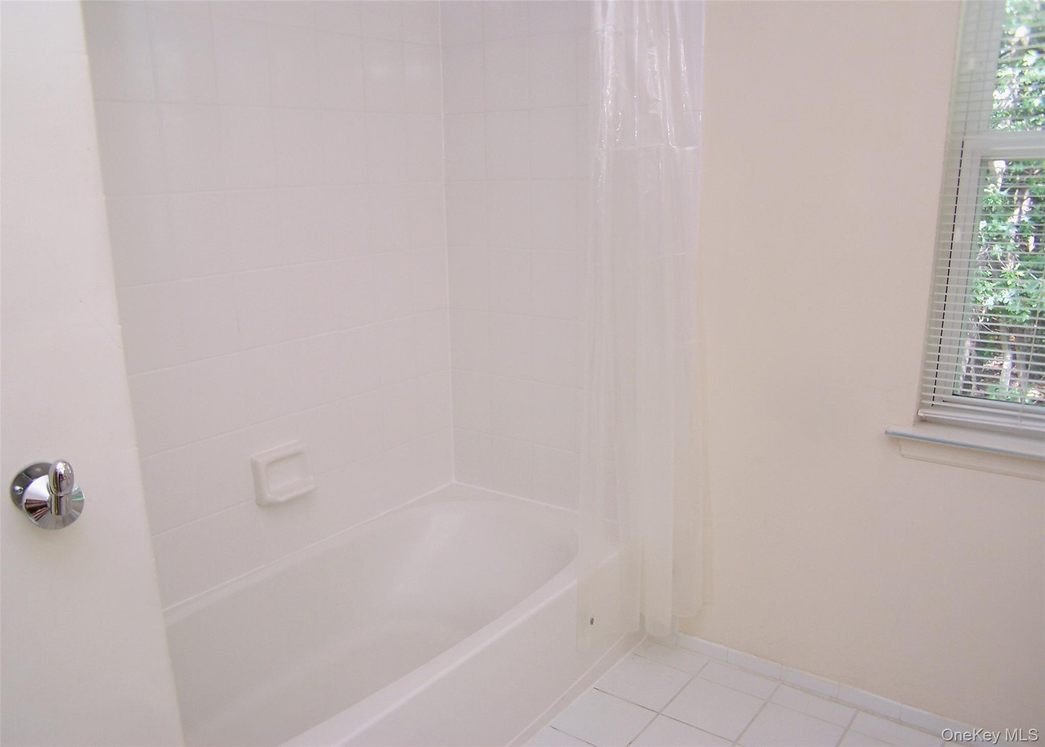 63 Sunflower Ridge Road Centereach, NY 11720 - Photo 18 of 24 a bathroom with a bathtub