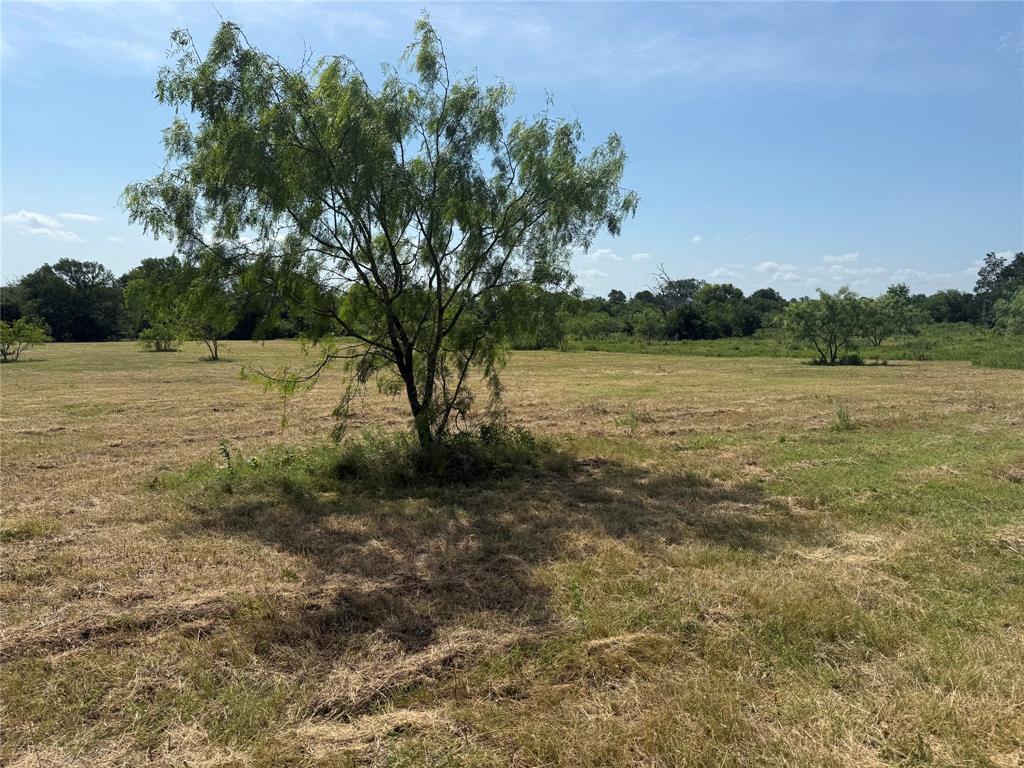 Lot 5 Fm Road Terrell, TX 75161 - Photo 6 of 12 a view of an ocean and trees