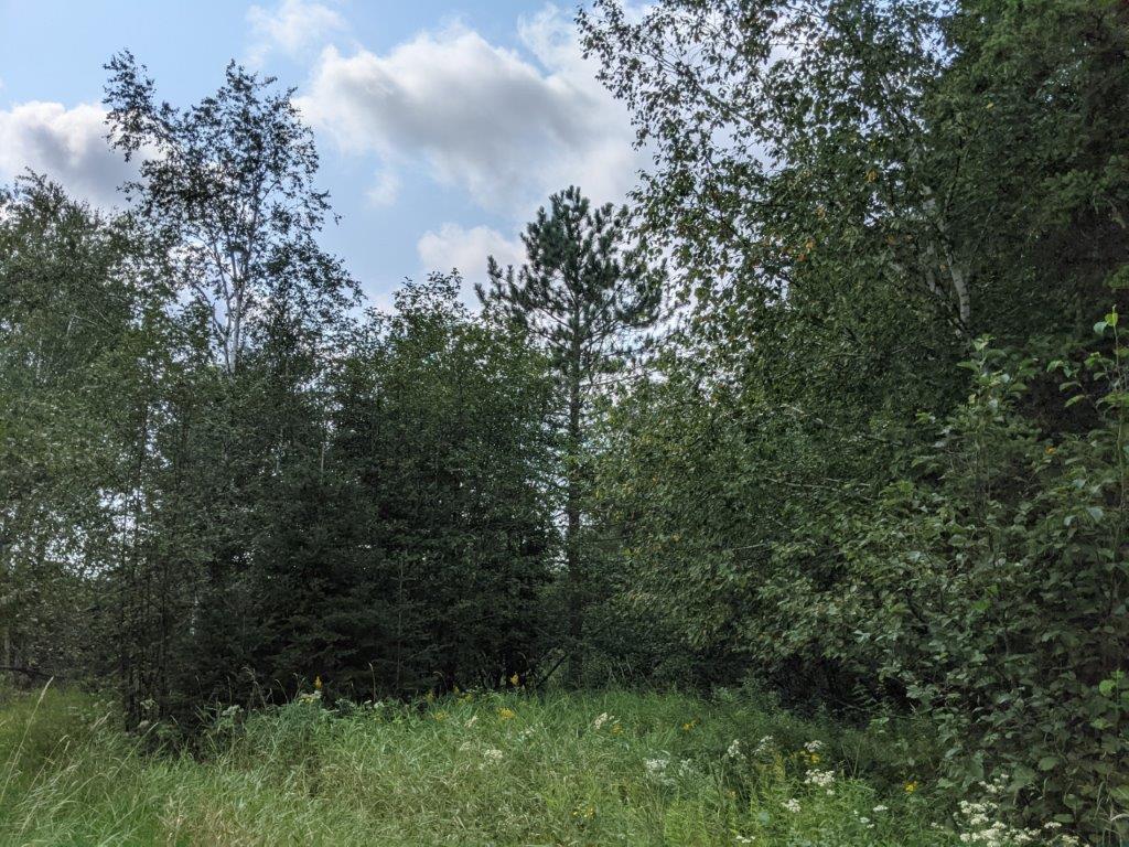 W10589 White Birch Road Kennan, WI 54537 - Photo 23 of 25 Gallery Image 23