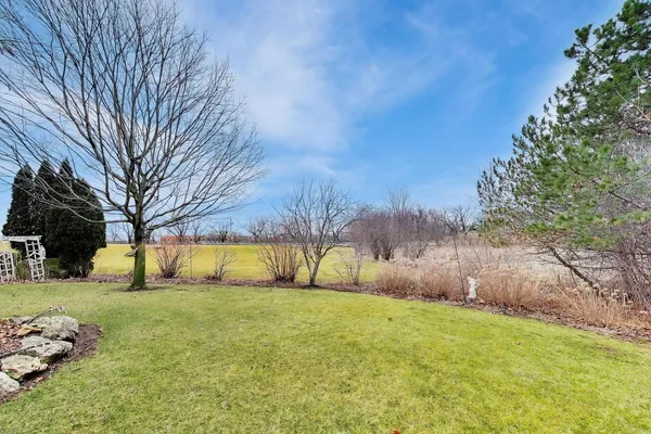 a view of yard covered with trees
