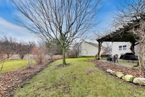 a view of a backyard with large trees