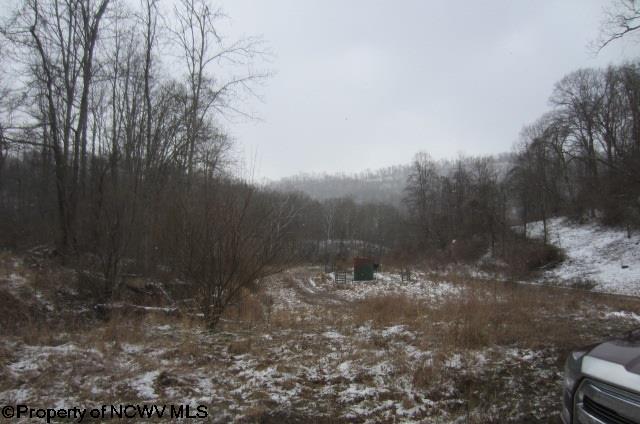886 Jackson Mill Road Jane Lew, WV 26378 - Photo 15 of 20 Gallery Image 15