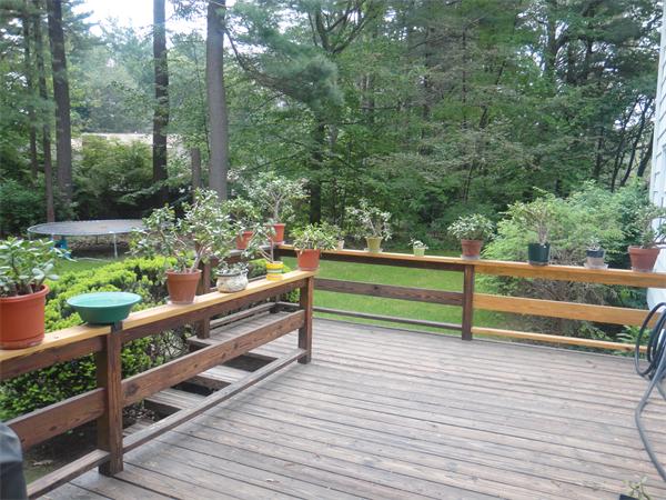 49 Stonebridge Road Wayland, MA 01778 - Photo 5 of 21