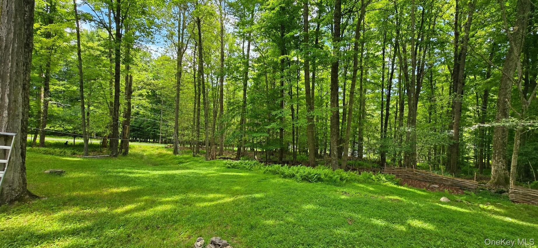 3 Rennison Road Grahamsville, NY 12740 - Photo 27 of 29 Gallery Image 27