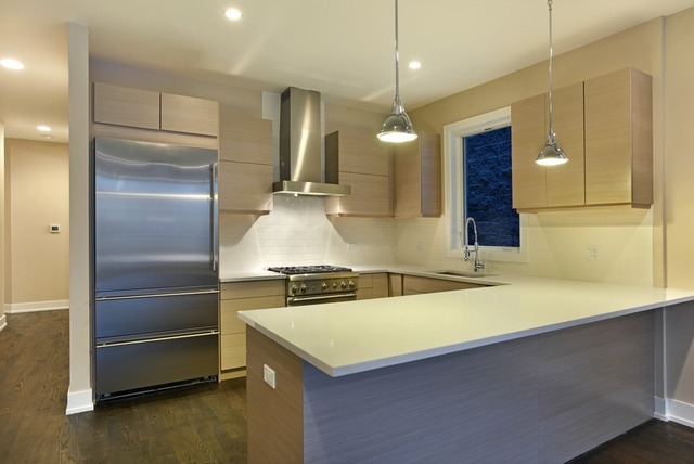 1115 North Paulina Street, Unit 2 Chicago, IL 60622 - Photo 2 of 14