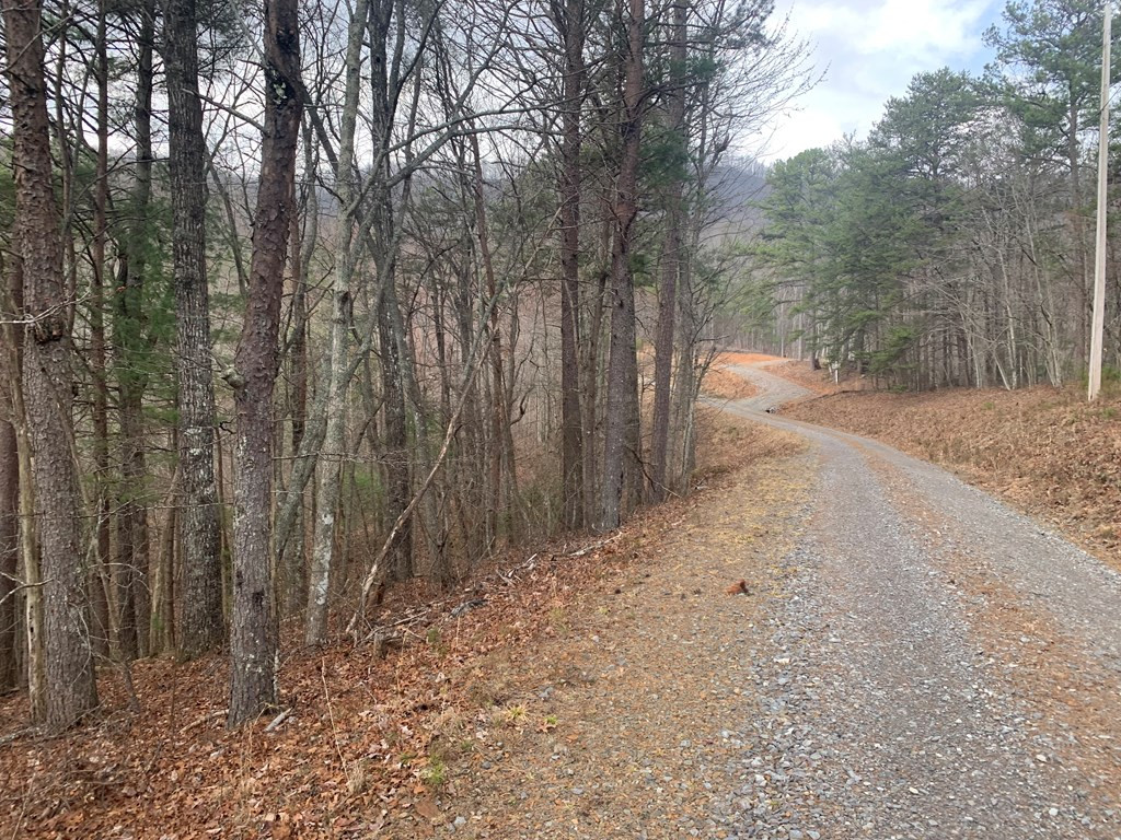 Lot 20 Wolf Ridge Lane Murphy, NC 28906 - Photo 15 of 27