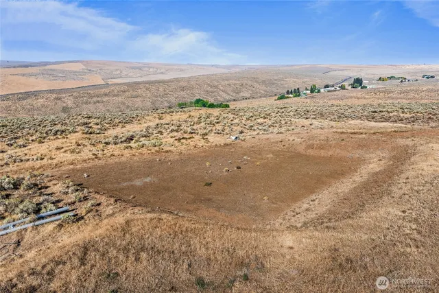 a view of beach and ocean