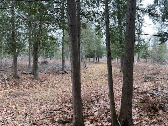 0 North Miller Road East Tawas, MI 48730 - Photo 8 of 23