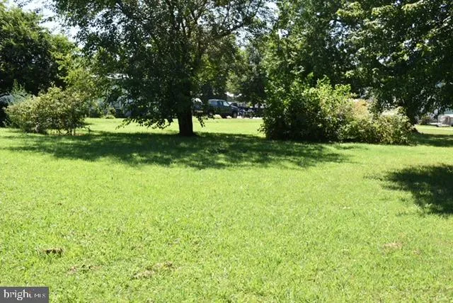a view of a trees with a yard