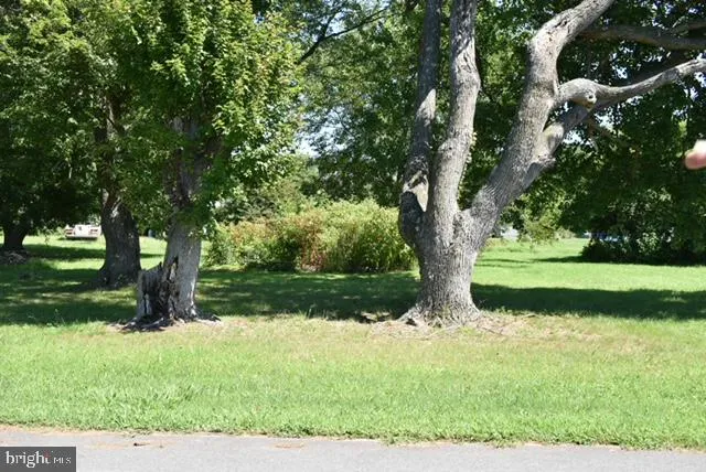 a view of backyard with green space