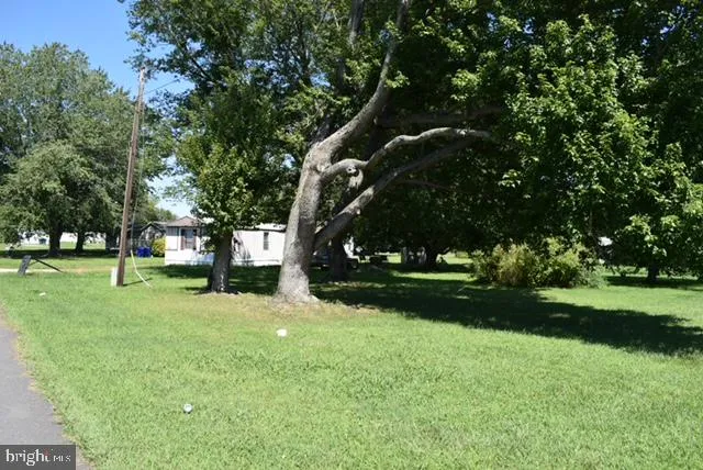 a view of a park with tree s