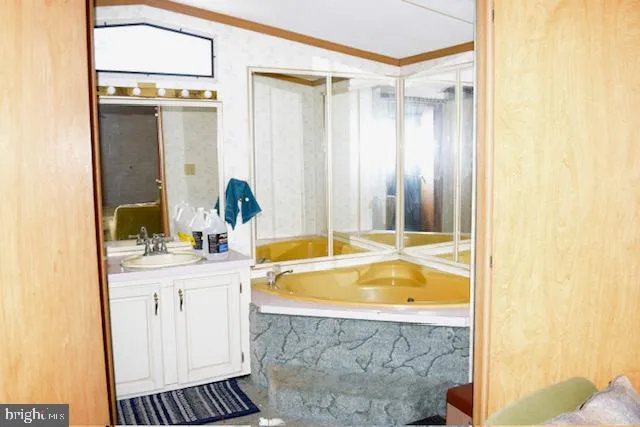 a bathroom with a tub a sink and a mirror