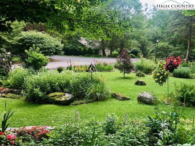 194 Woodwinds Circle Seven Devils, NC 28604 - Photo 45 of 50 a view of a garden with large trees