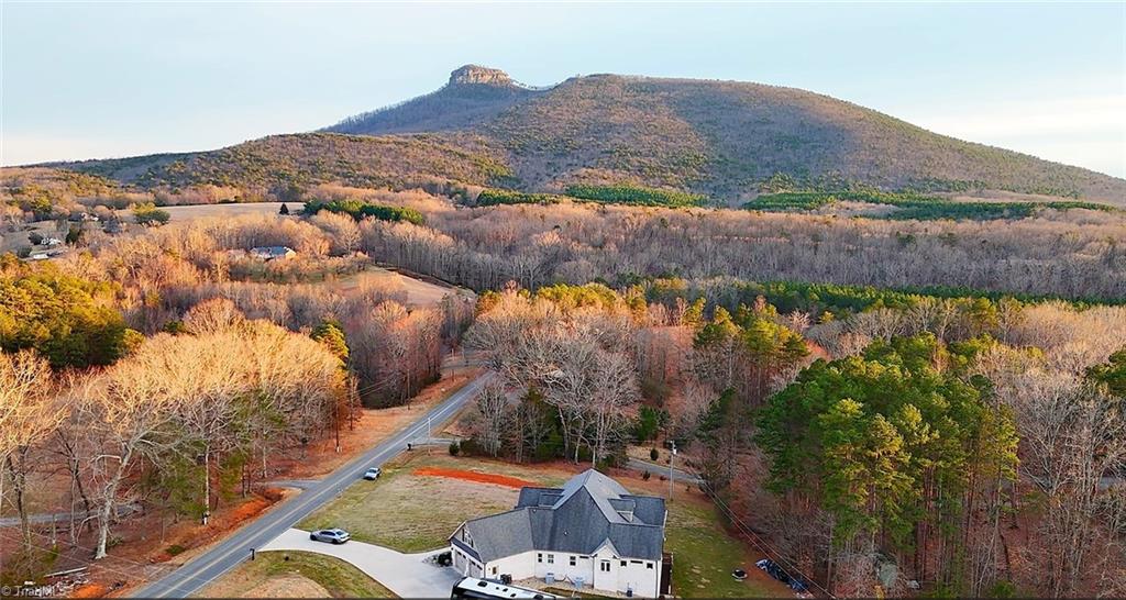 536 Black Mountain Road Pinnacle, NC 27043 - Photo 50 of 50