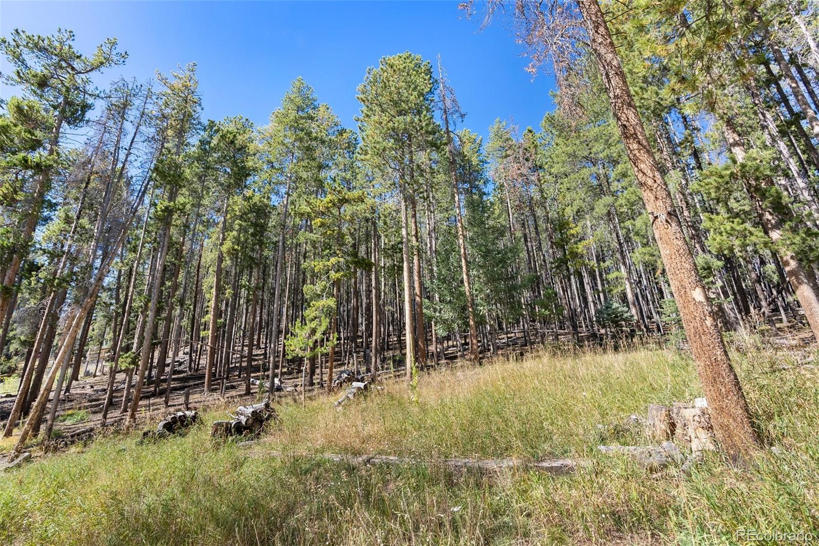 7725 Matterhorn Road Evergreen, CO 80439 - Photo 31 of 36 Gallery Image 31